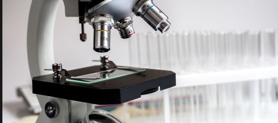 Χημικά Ανθεκτικό Πάνελ Ακατέργαστου Γυαλιού για Διαφάνειες Ιστολογίας/Κυτταρολογίας 1300*1100mm Κανονικό Μέγεθος 4PB 9-12um